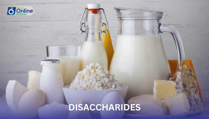 Lesson 08: Disaccharides